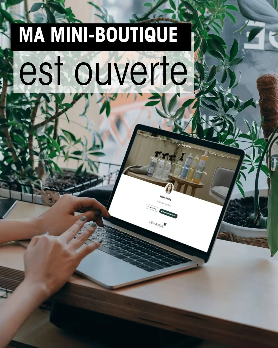 présentation miniboutique BN